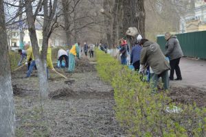 В Пензенской области вывезли более 15 тысяч кубометров мусора