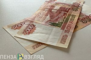 Водитель из Пензенской области отделался незначительным штрафом за сбитого пешехода