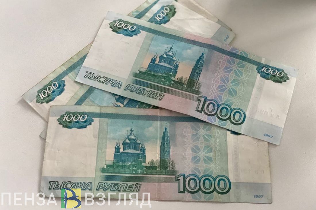 Пензенским семьям участников СВО могут назначить новую дополнительную выплату