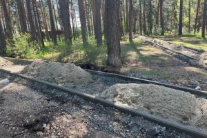 В Заречном стартовали работы по благоустройству парка