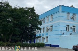 Следователи разбираются в обстоятельствах смерти мальчика в Пензенском районе