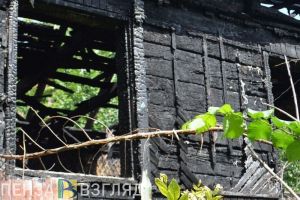 В Пензе с начала года произошло 310 пожаров