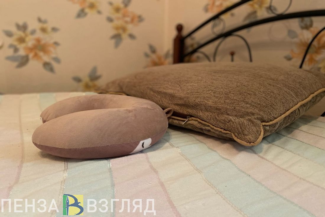 67,1% приезжих останавливаются в пензенских гостиницах по личным целям