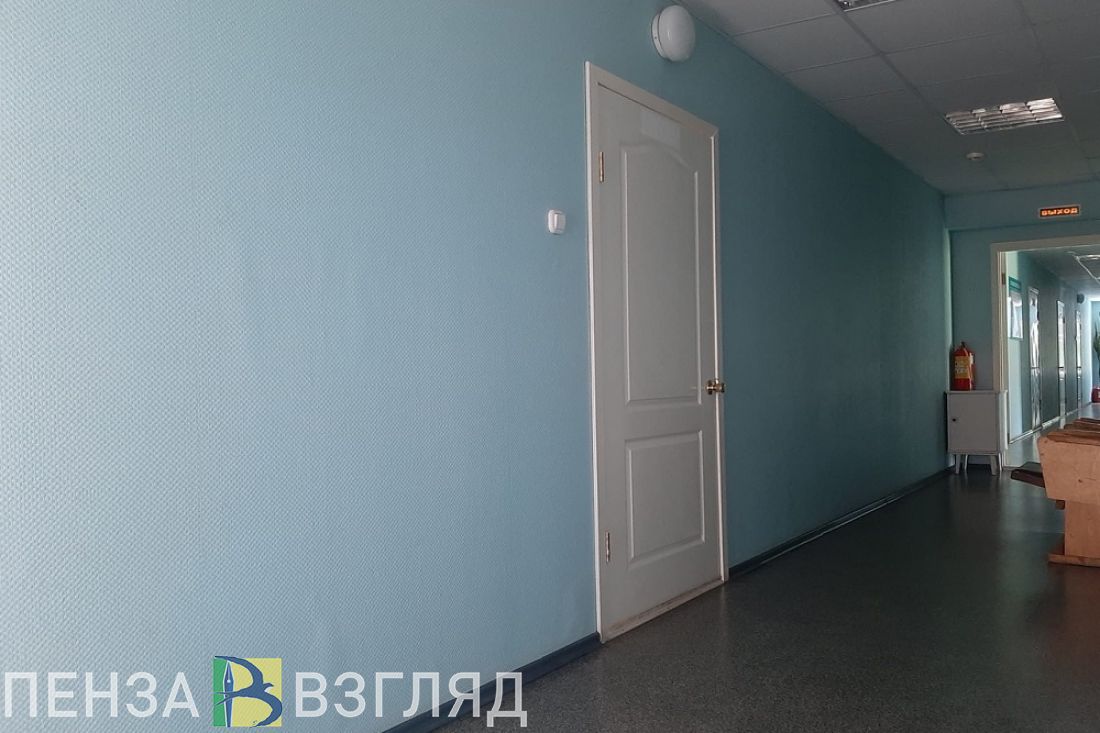 За год в Пензенской области стоимость ветеринарных услуг выросла на 16,87%