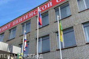 Пензенцы узнали о публикации проекта постановления о рассылке электронных повесток