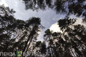 1 мая в Пензенской области ожидается до +23 градусов тепла
