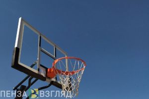 Жители пензенской улицы Аустрина попросили у губернатора спортивную площадку