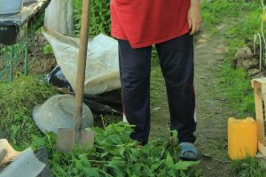 Пензенцам стало известно, что Минтруд готов обсудить перенос новогодних выходных на май