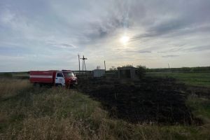 Под Пензой сухая трава выгорела на площади 400 квадратных метров