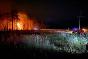 В двух районах Пензенской области потушили лесные пожары