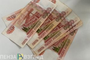 В Пензе полицейские установили личность мужчины, вымогавшего деньги у пенсионерки