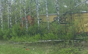 Возле Городища грузовик улетел с трассы