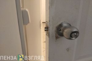 В Пензе спасатели вскрыли дверь в квартиру, где были заперты дети