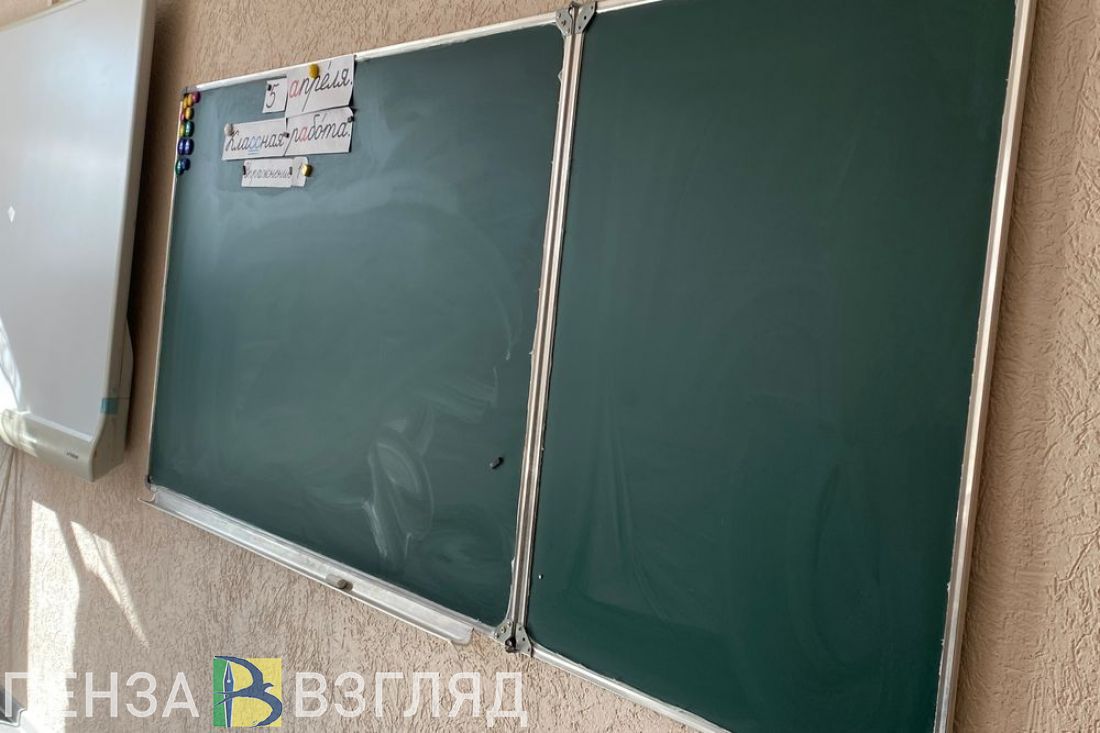 Пензенские дети добровольцев и погибших на СВО могут получить первоочередное право на зачисление в школы и детсады