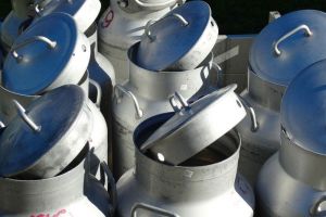 В Пензенской области тетя и племянник обокрали дом, а потом проболтались об этом