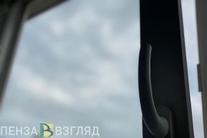В Пензенской области приставы поймали вылезающего через окно алиментщика