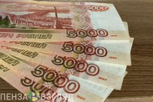 В Кузнецке женщину-водителя без прав будут судить за попытку дать взятку