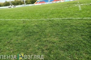 Пензенцев приглашают на «Зеленый марафон» (0+)