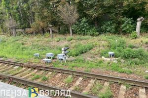 Убийство мужчины, заморозки по области и осмотр набережной губернатором - новости Пензы и региона за 5 мая