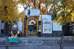 Пензенцы смогут взять на руки мадагаскарских тараканов