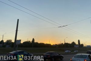 Пензенцам рассказали о цветовой гамме новых троллейбусов