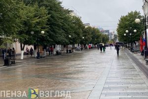20 градусов тепла и дождь ожидаются в Пензенской области 12 мая