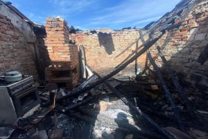 Появились фотографии с места пожара в строении для животных в Каменском районе