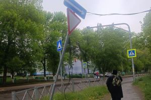 Пензенец опасается за жизнь и здоровье людей, гуляющих около лицея №2