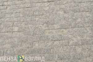 Житель Пензы возмущен состоянием дороги на улице Московской