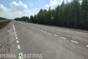 На трассе в Пензенской области разбился мотоциклист