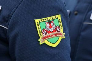 Бойцы отряда «Тигр» в Пензенской области помогли пресечь 12 преступлений