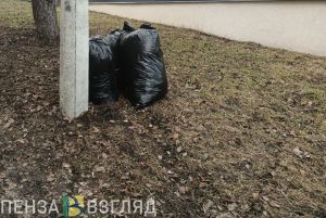 Жительница Пензы недовольна несвоевременным вывозом мусора в Первомайском районе