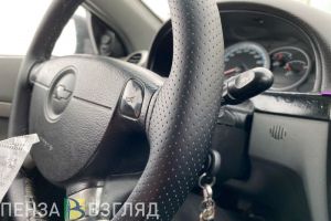 Пензенского водителя шокировала внезапная ситуация на дороге