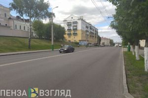 Пензенцы заявили об опасности распространения крыс в центре города