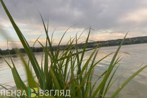 Жителю Шемышейки грозит лишение свободы за ловлю рыбы сетями