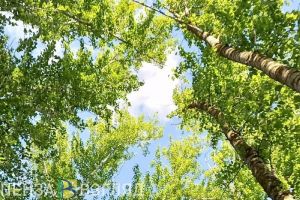 Стало известно об экологической обстановке в селе Кувак-Никольское после разлива опасных веществ