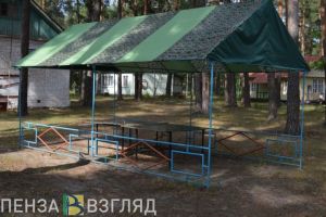 Пензенцев могут обязать оформлять путевки в детские лагеря через «Госуслуги»