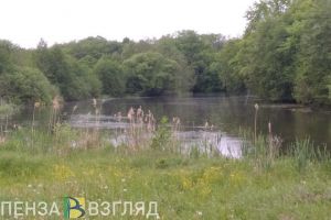Пензенский браконьер ловил рыбу сетью в период нереста