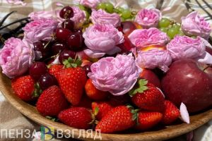 Пензастат подсчитал, как дорого пензенцам обойдется поход на пикник