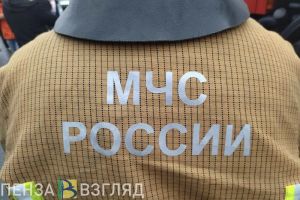 В Пензенской области спасатели эвакуировали мужчину с крыши здания