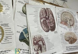 В Пензу съедутся ведущие врачи со всей России