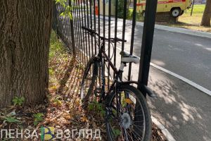 Пензенцам объяснили, для чего нужен непонятный забор на территории лицея №55