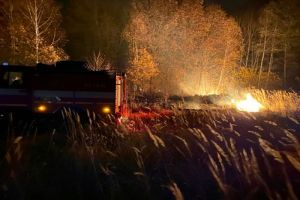 В Нижнеломовском районе потушили лесной пожар