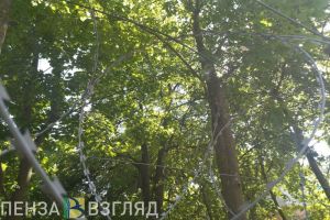 Житель Пензенской области украл 50 метров забора