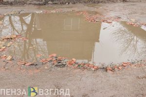 Пензенские власти проверят качество дороги до Веселовского кладбища