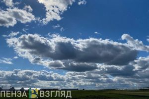 4 класс пожароопасности прогнозируется в Пензенской области 24 мая