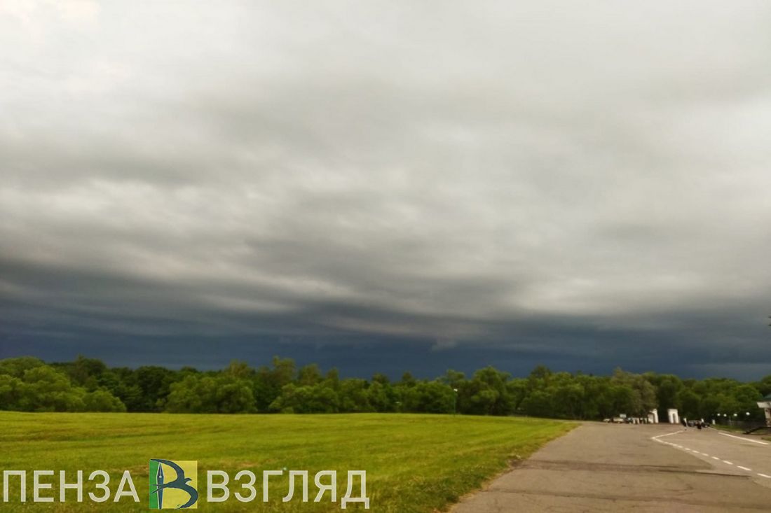 25 мая в Пензенской области прогнозируется желтый уровень погодной опасности