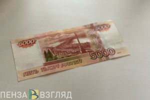 В Пензенской области муж пришел повидаться с детьми и украл у жены деньги