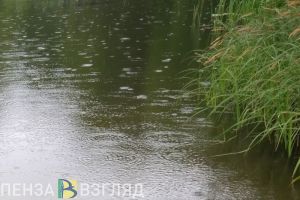 В водоеме Железнодорожного района Пензы утонул мужчина