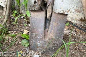 Пензенских школьников планируют обязать заниматься общественно-полезным трудом